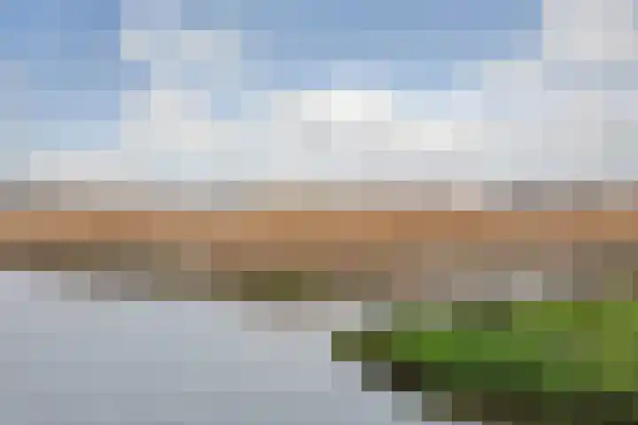 Kamilleveld 9 Schiedam thumbnail 34