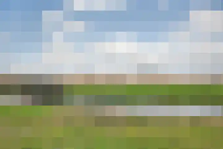 Kamilleveld 9 Schiedam thumbnail 35