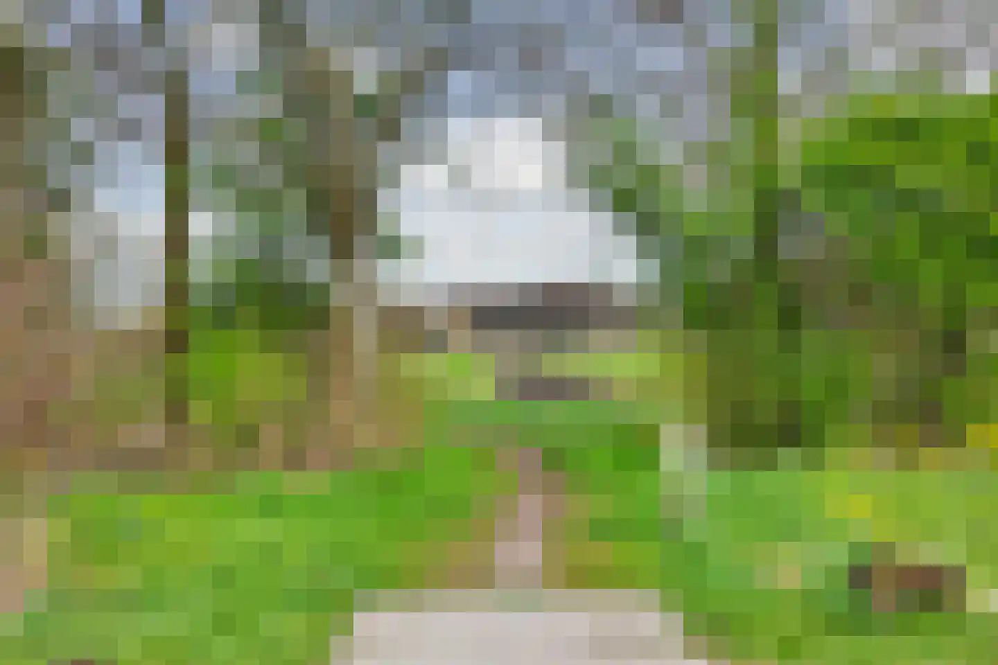 Kamilleveld 9 Schiedam thumbnail 36