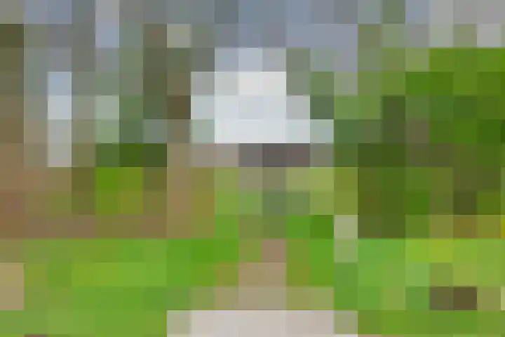 Kamilleveld 9 Schiedam thumbnail 36