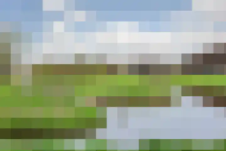 Kamilleveld 9 Schiedam thumbnail 37