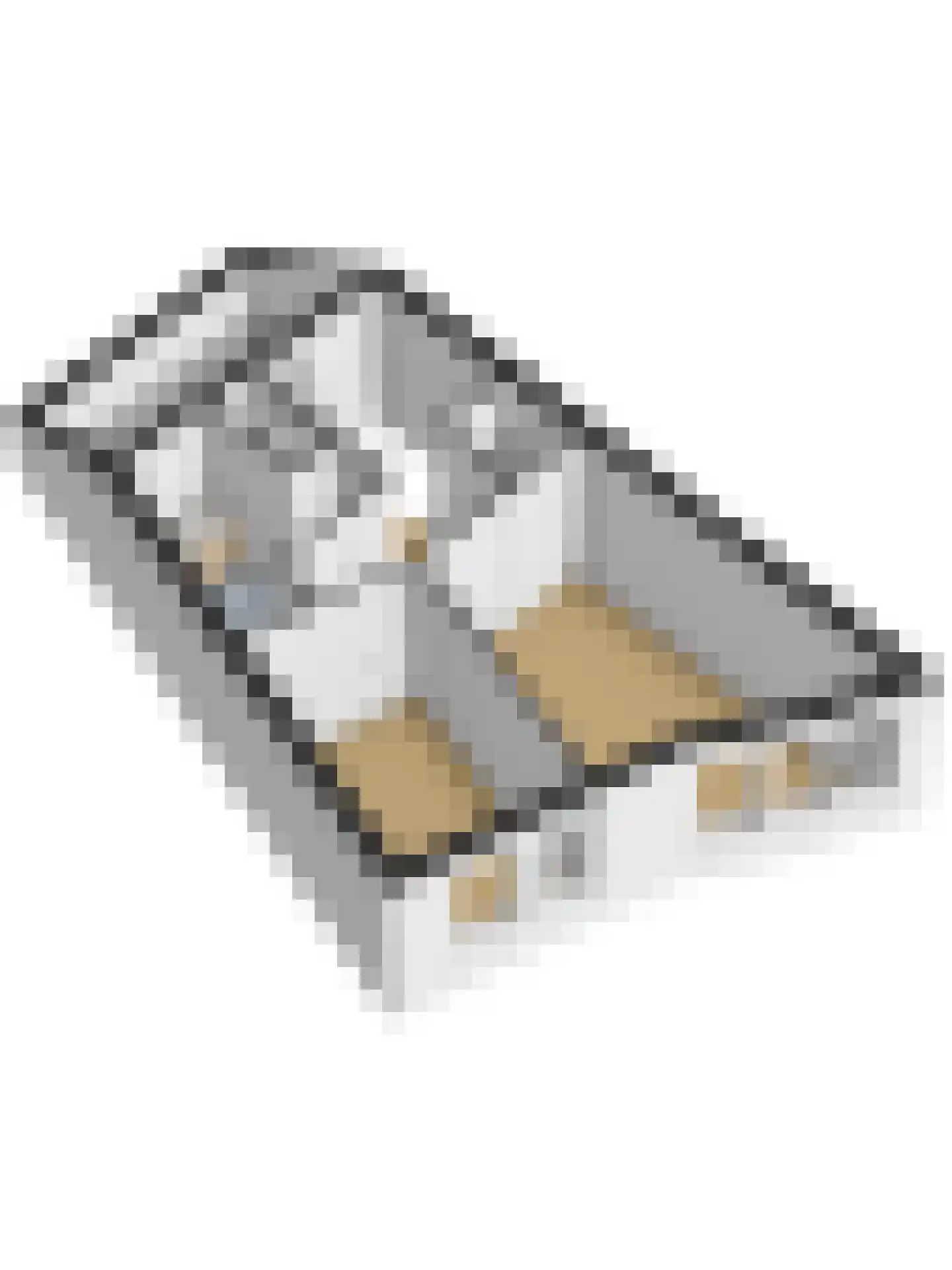 Kamilleveld 9 Schiedam thumbnail 42