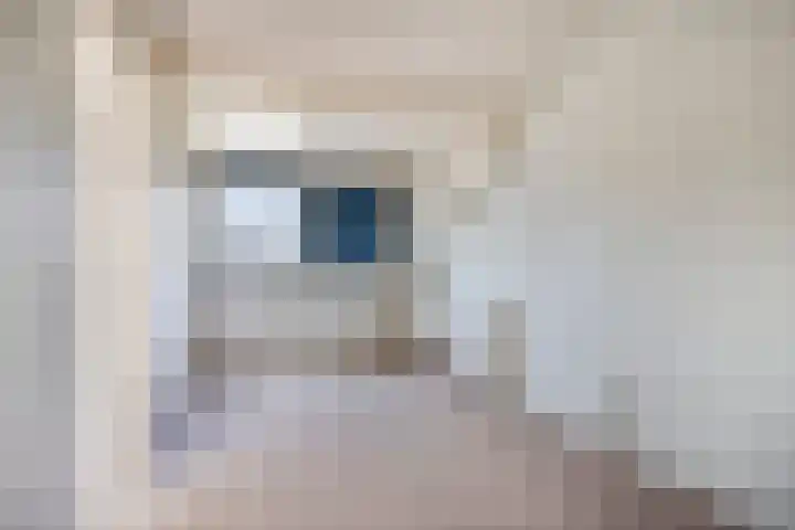 Kamilleweerd 46 Maastricht thumbnail 19