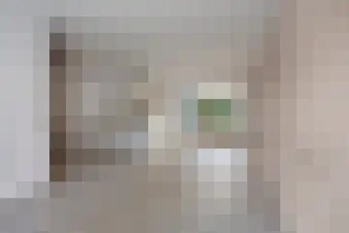 Kamilleweerd 46 Maastricht thumbnail 4