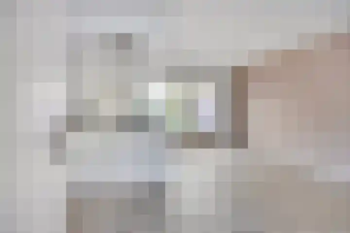 Kamilleweerd 46 Maastricht thumbnail 5