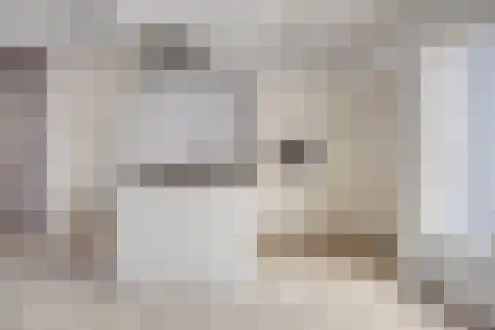Kamilleweerd 46 Maastricht thumbnail 7