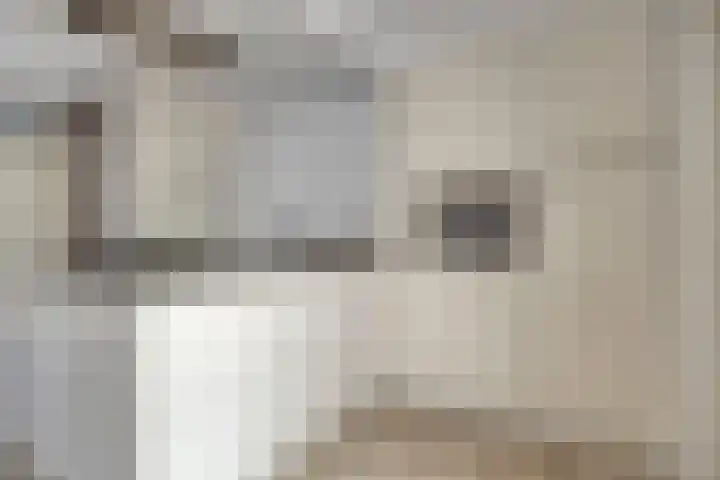 Kamilleweerd 46 Maastricht thumbnail 8
