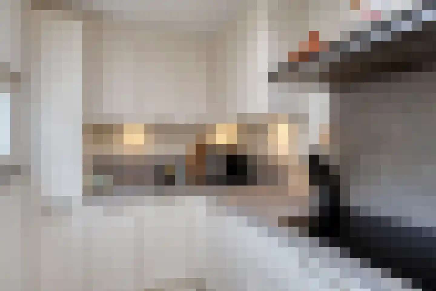 Kamilleweerd 48 Maastricht thumbnail 11