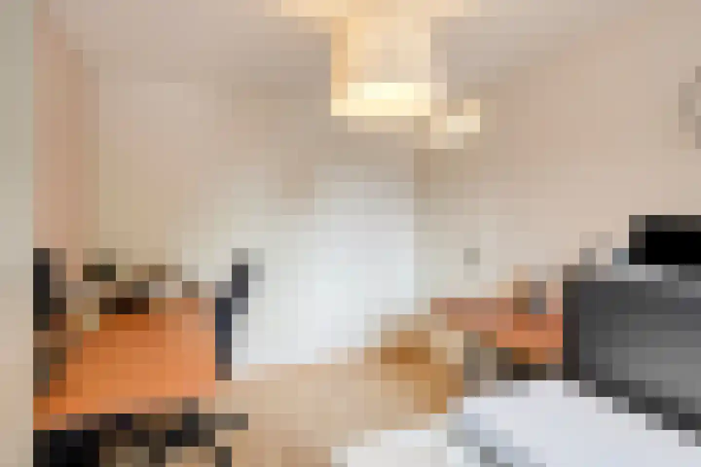 Kamilleweerd 48 Maastricht thumbnail 19
