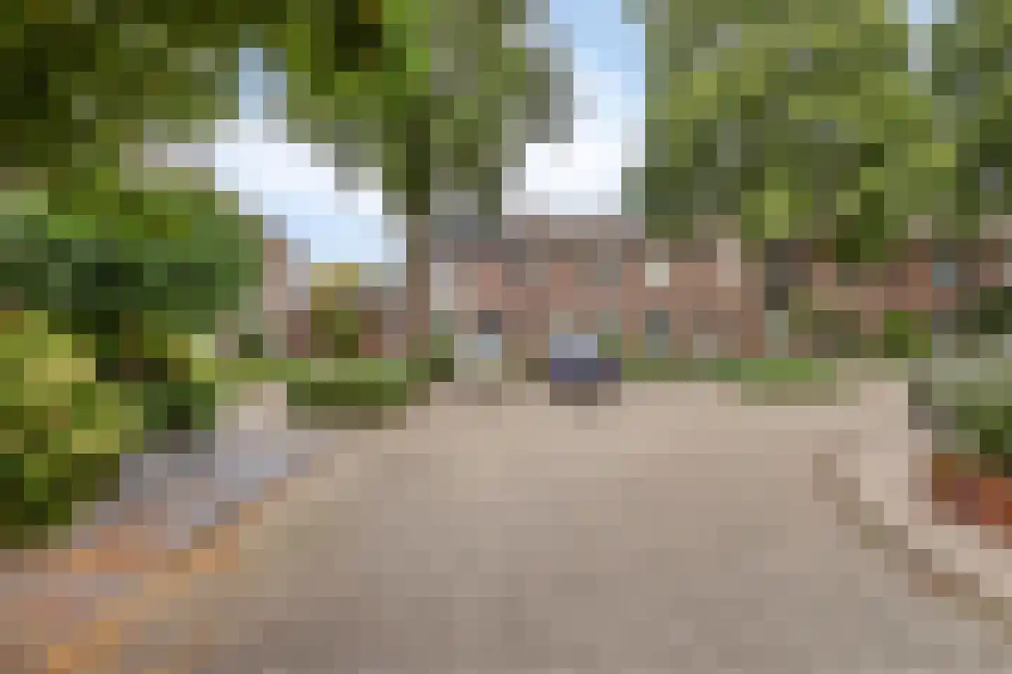 Kamilleweerd 48 Maastricht thumbnail 28