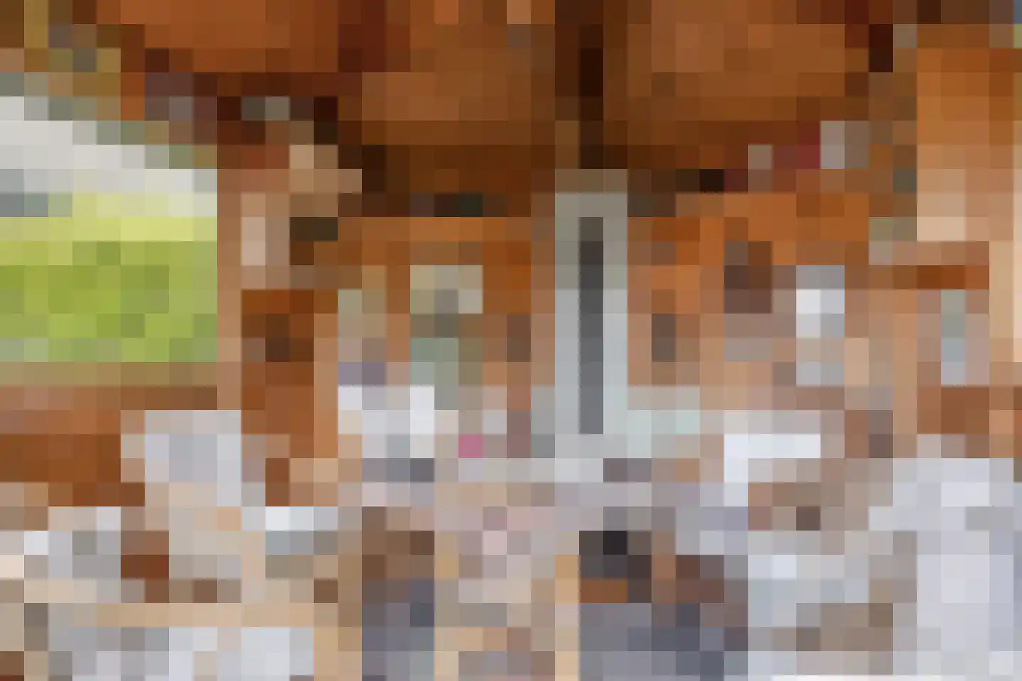 Kamilleweg 1 Heerde thumbnail 24