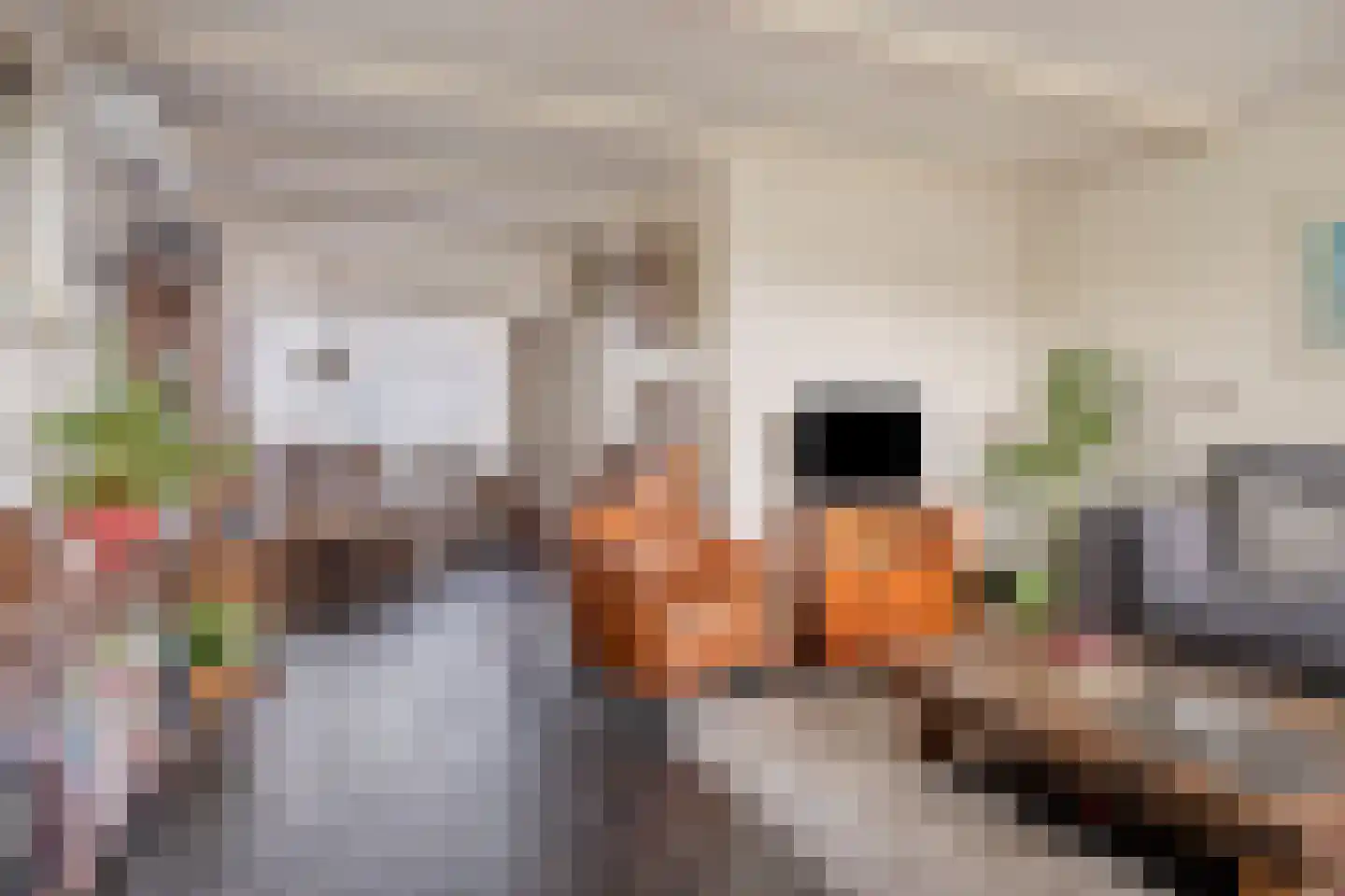 Kamilleweg 1 Heerde thumbnail 5