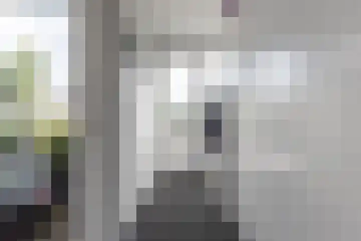 Kamilleweg 13 Heerde thumbnail 11