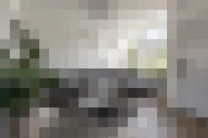 Kamilleweg 13 Heerde thumbnail 12