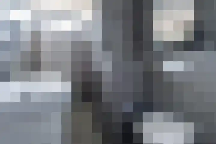 Kamilleweg 13 Heerde thumbnail 31