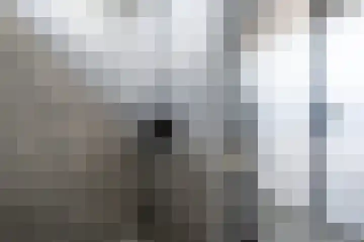 Kamilleweg 13 Heerde thumbnail 32