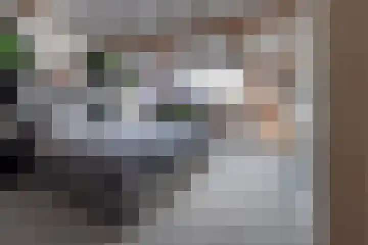 Kamilleweg 13 Heerde thumbnail 38