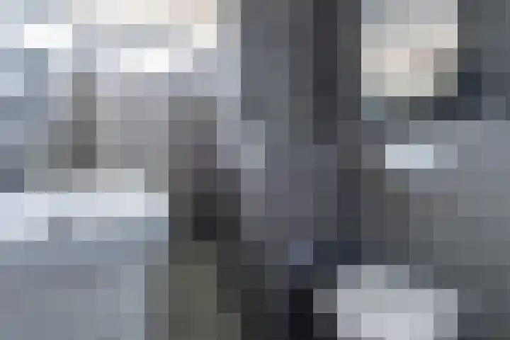 Kamilleweg 13 Heerde thumbnail 4