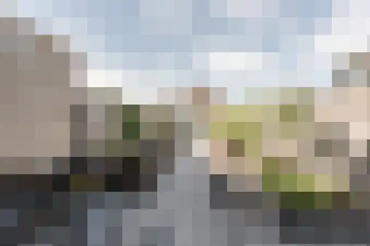 Kamilleweg 13 Heerde thumbnail 42