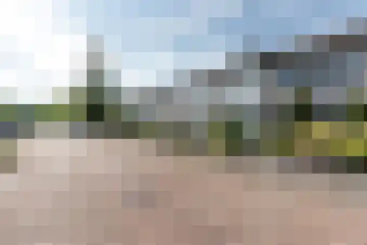 Kamilleweg 13 Heerde thumbnail 6