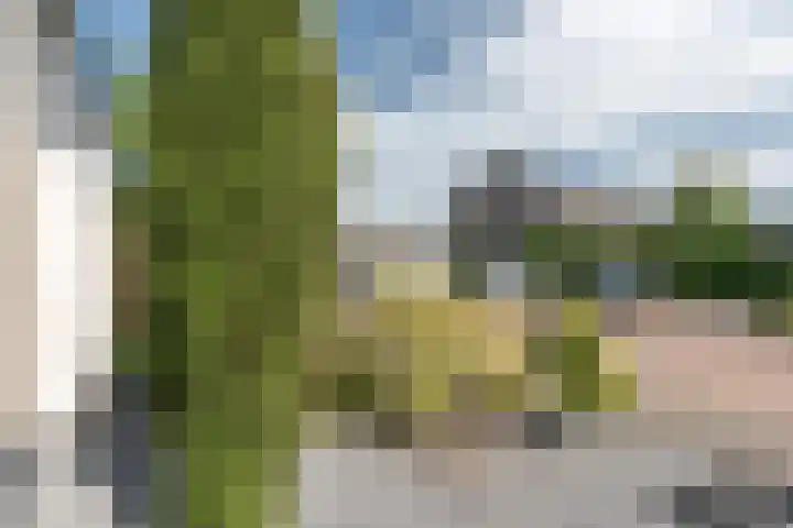 Kamilleweg 13 Heerde thumbnail 7