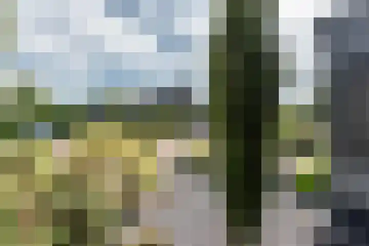 Kamilleweg 13 Heerde thumbnail 8