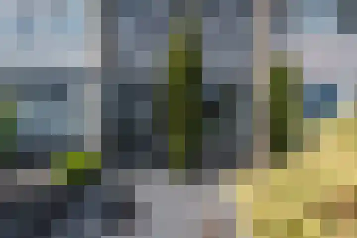 Kamilleweg 13 Heerde thumbnail 9