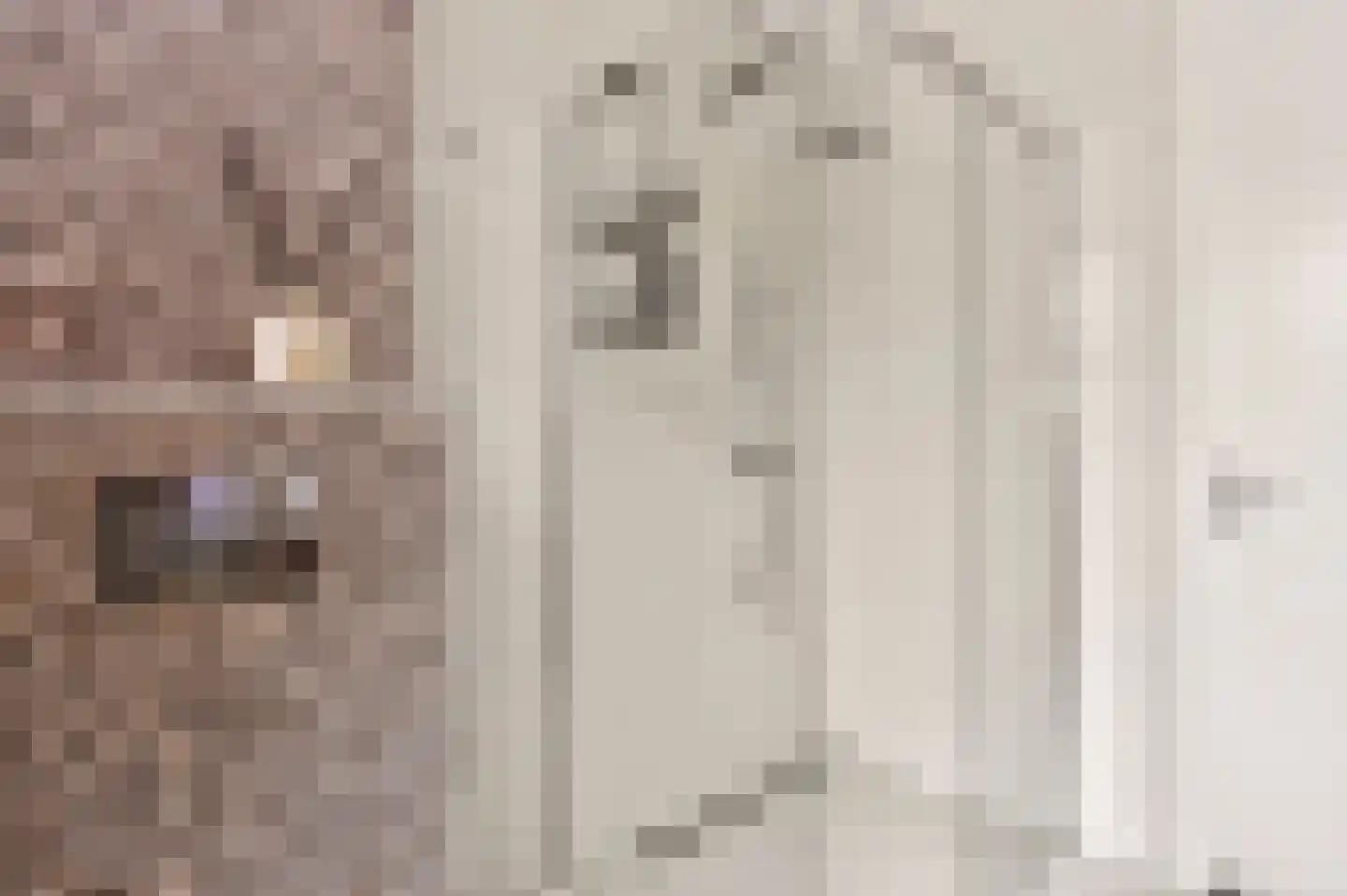 Kamilleweg 13 Utrecht thumbnail 21