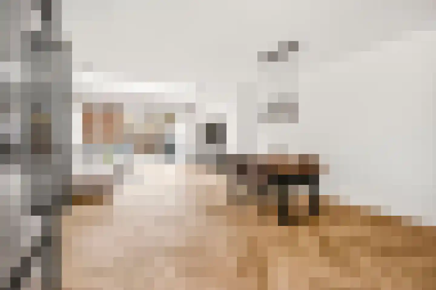 Kamilleweg 13 Utrecht thumbnail 6