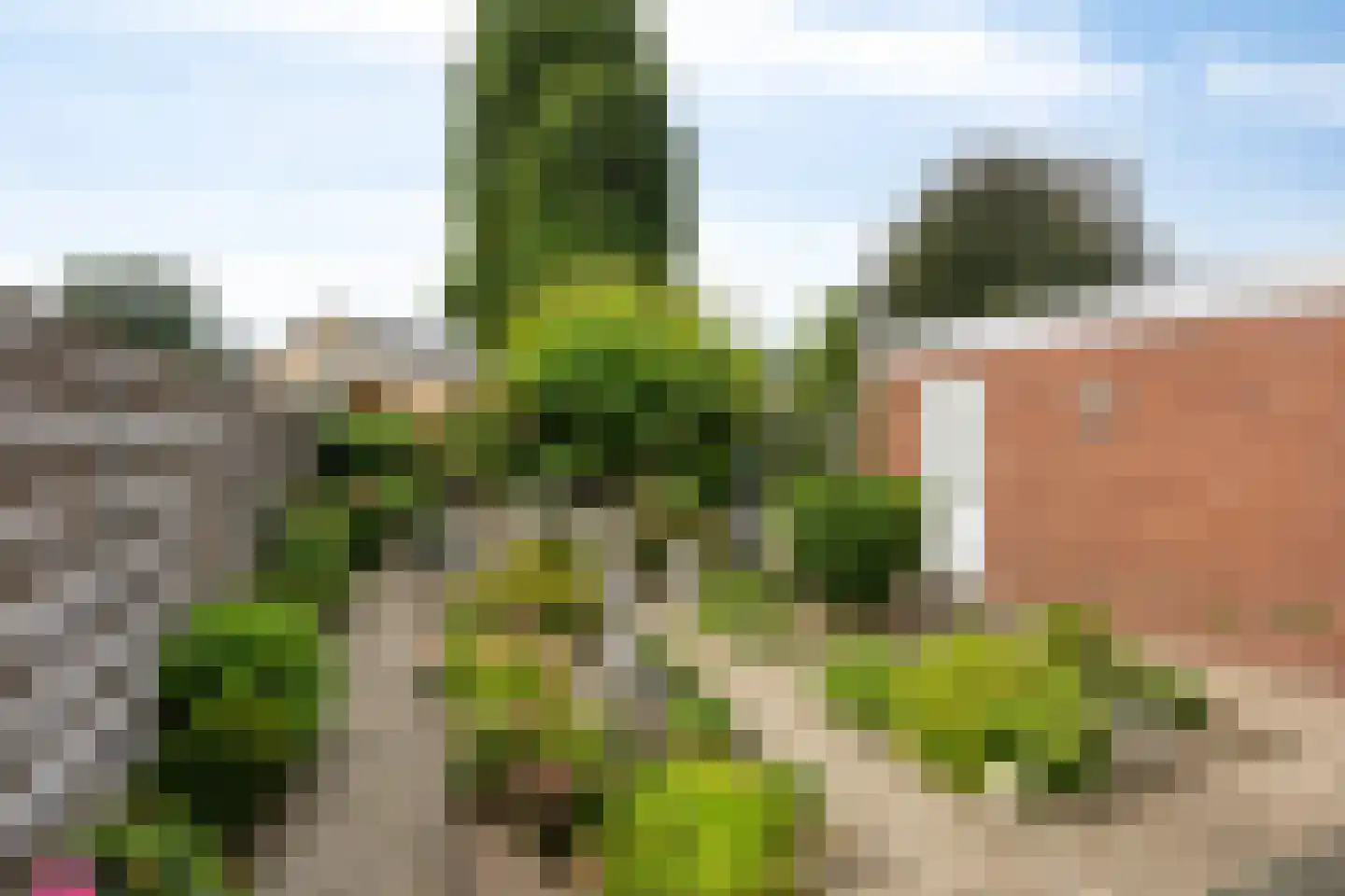 Kamilleweg 15 Milsbeek thumbnail 26