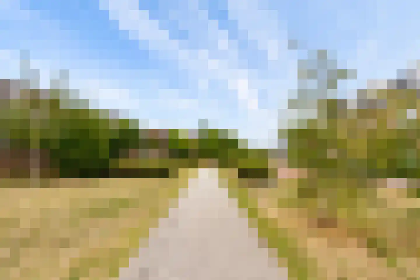 Kamilleweg 31 Utrecht thumbnail 55