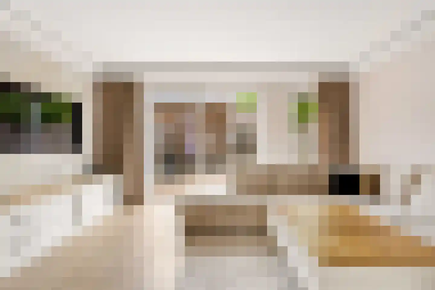 Kamilleweg 31 Utrecht thumbnail 6