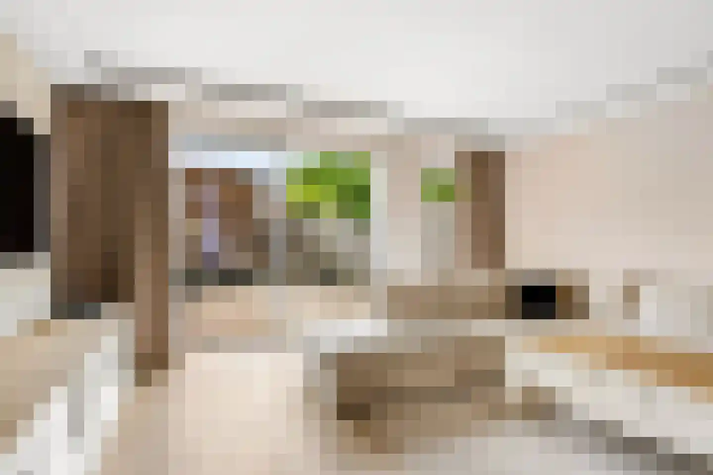 Kamilleweg 31 Utrecht thumbnail 8