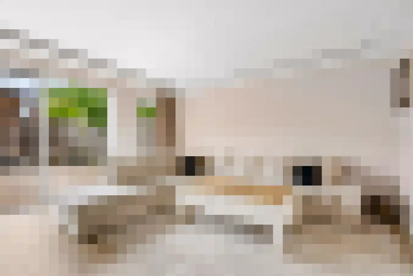 Kamilleweg 31 Utrecht thumbnail 9