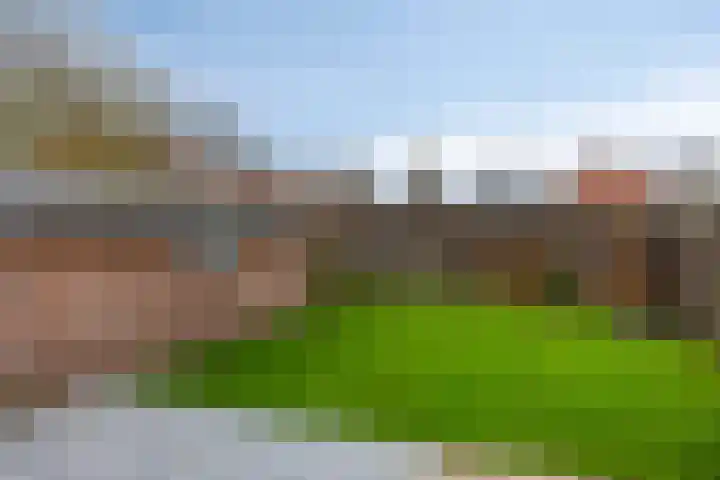 Kamilleweg 61 Heerde thumbnail 17