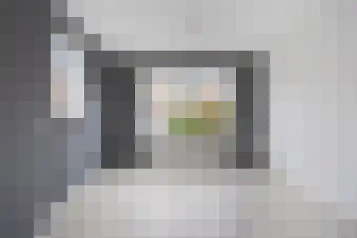 Kamilleweg 61 Heerde thumbnail 5