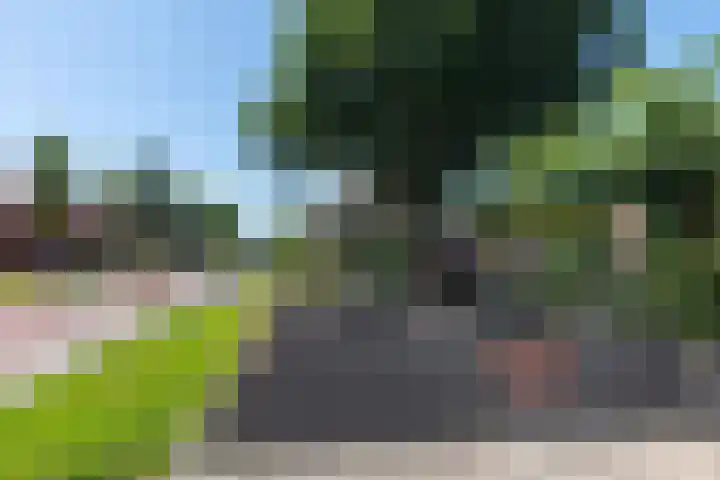 Kammingastrjitte 55 Harkema thumbnail 10