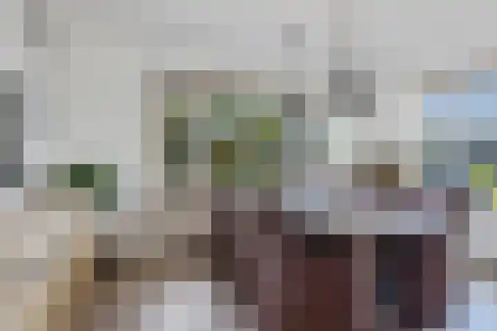 Kammingastrjitte 55 Harkema thumbnail 12