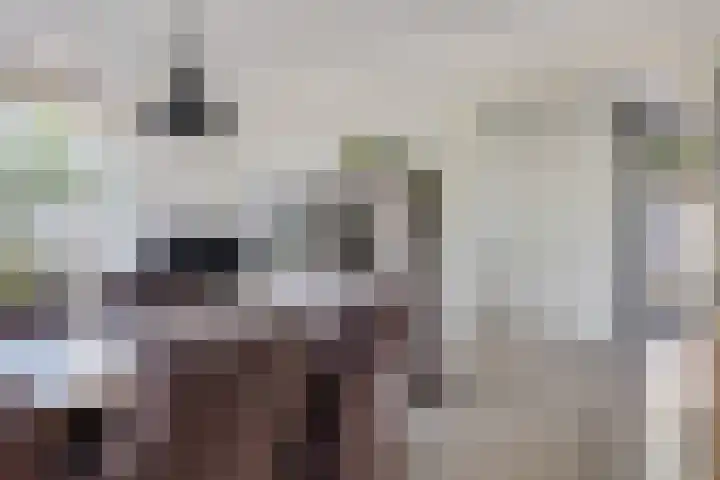 Kammingastrjitte 55 Harkema thumbnail 13