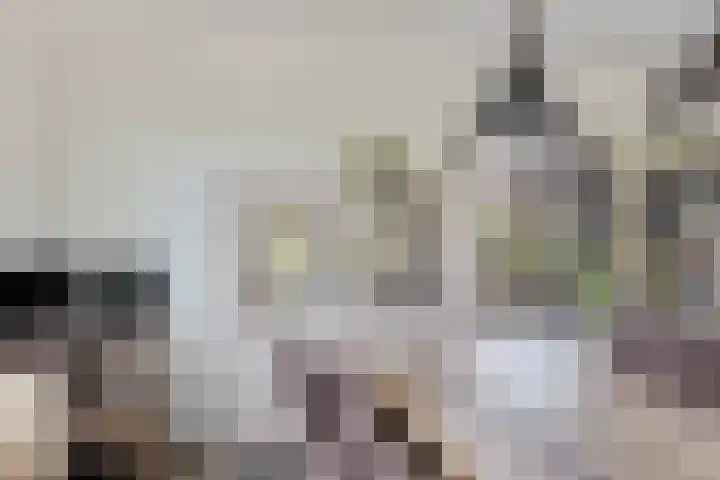 Kammingastrjitte 55 Harkema thumbnail 14