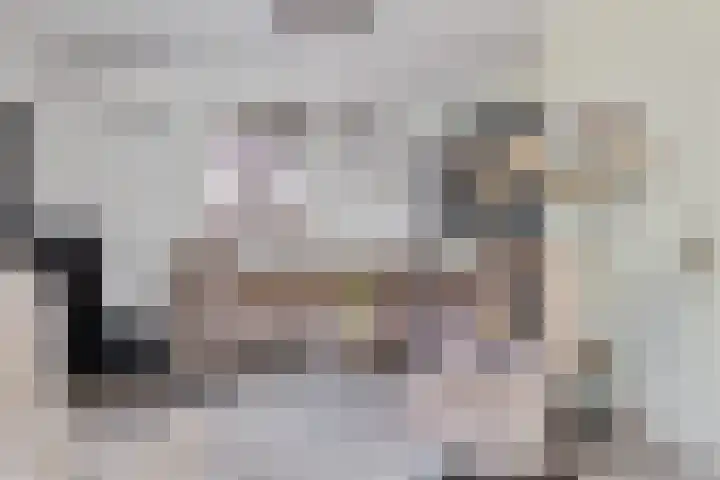 Kammingastrjitte 55 Harkema thumbnail 15
