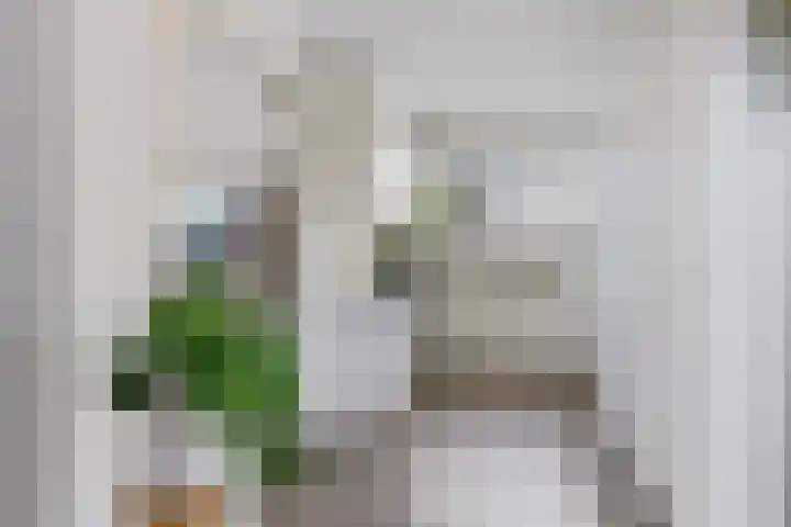 Kammingastrjitte 55 Harkema thumbnail 16