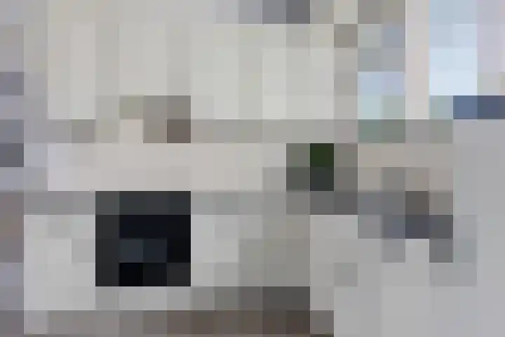 Kammingastrjitte 55 Harkema thumbnail 17