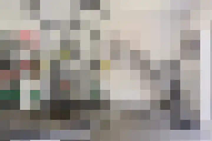Kammingastrjitte 55 Harkema thumbnail 19