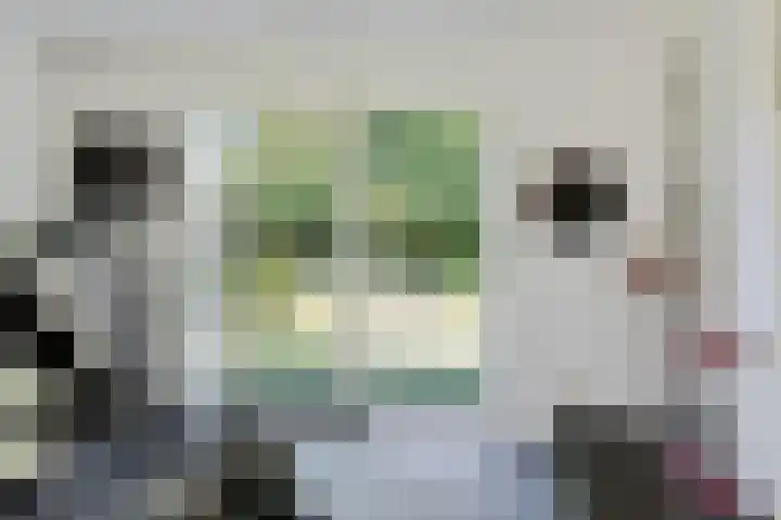 Kammingastrjitte 55 Harkema thumbnail 20