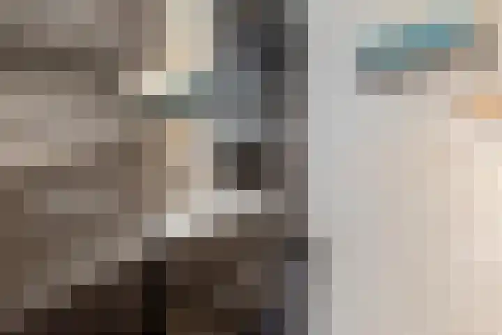 Kammingastrjitte 55 Harkema thumbnail 24