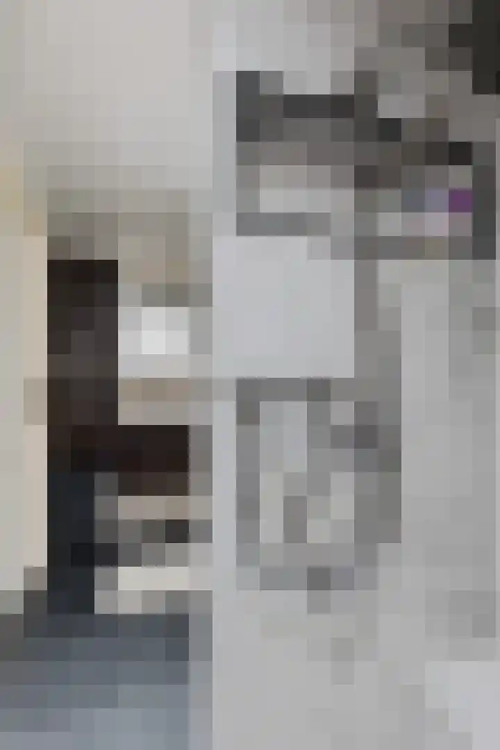 Kammingastrjitte 55 Harkema thumbnail 27