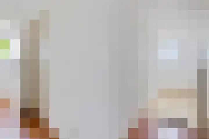 Kammingastrjitte 55 Harkema thumbnail 30