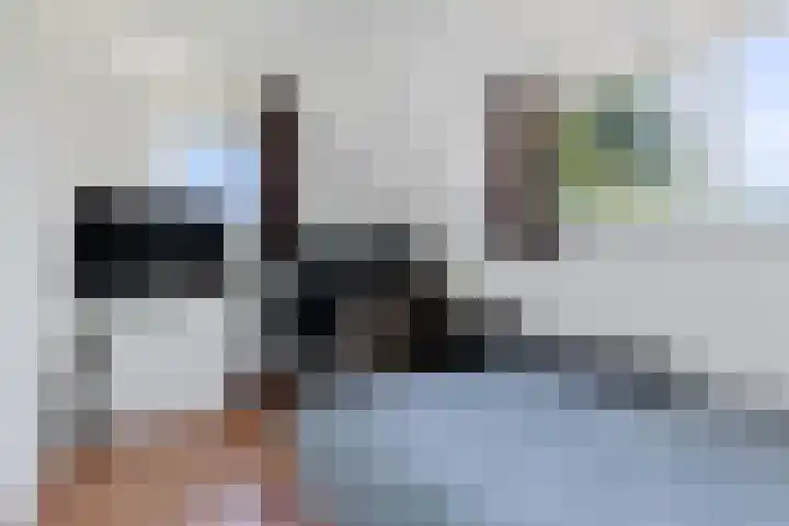Kammingastrjitte 55 Harkema thumbnail 31