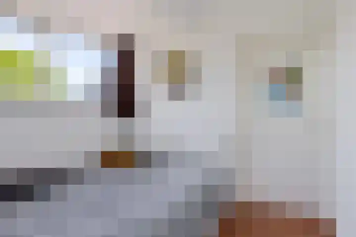 Kammingastrjitte 55 Harkema thumbnail 32